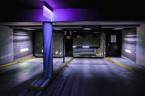 purple light in the rain